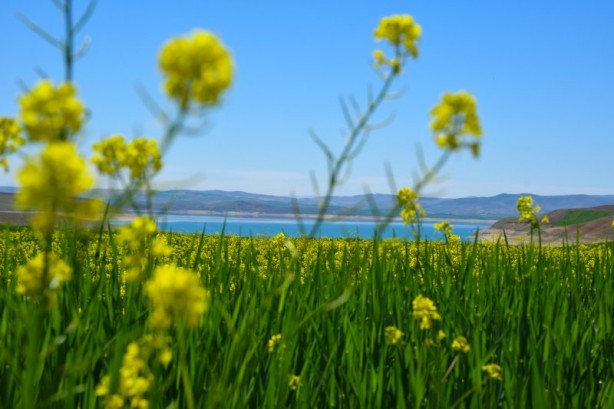 Foto - Cennet vatan Türkiye! Her köşesinden güzellik fışkırıyor