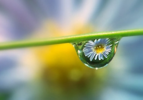 Foto - Cenneti anlatan ve müjdeleyen ayetler