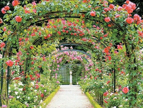 Foto - Cenneti anlatan ve müjdeleyen ayetler