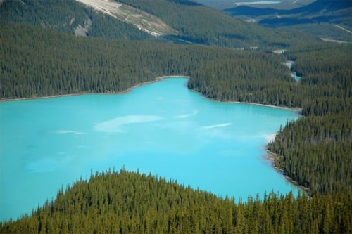 Foto - Cenneti anlatan ve müjdeleyen ayetler