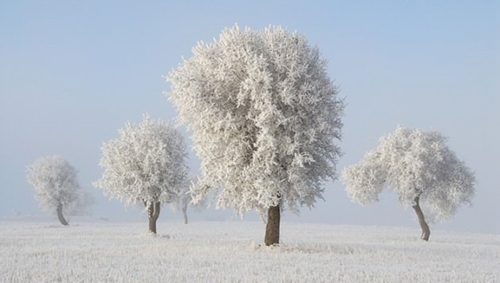 Foto - Cenneti anlatan ve müjdeleyen ayetler
