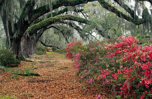 Foto - Cenneti anlatan ve müjdeleyen ayetler