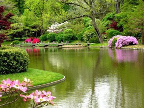 Foto - Cenneti anlatan ve müjdeleyen ayetler