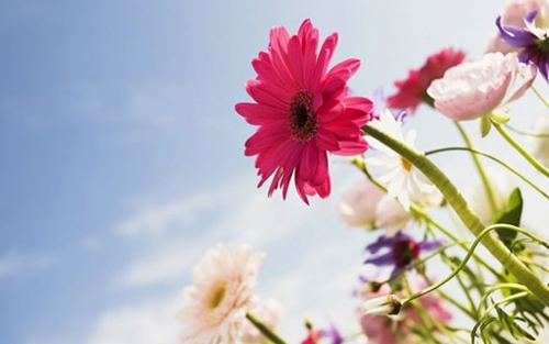Foto - Cenneti anlatan ve müjdeleyen ayetler
