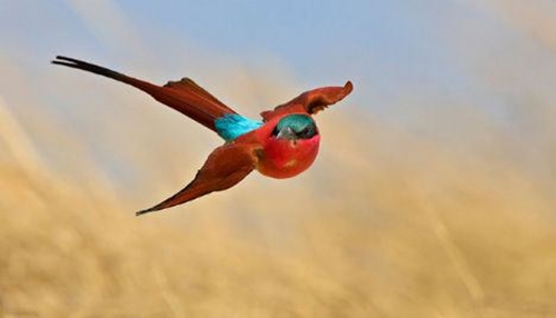 Foto - Cenneti anlatan ve müjdeleyen ayetler