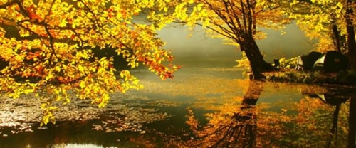 Foto - Cenneti anlatan ve müjdeleyen ayetler