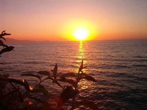 Foto - Cenneti anlatan ve müjdeleyen ayetler