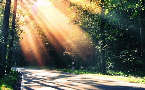 Foto - Cenneti anlatan ve müjdeleyen ayetler