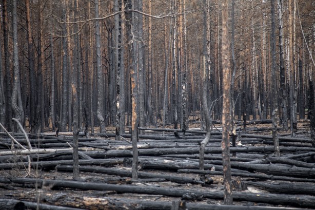 Foto - Çernobil'den korkutan yangın haberi
