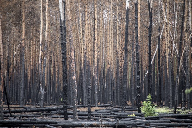 Foto - Çernobil'den korkutan yangın haberi