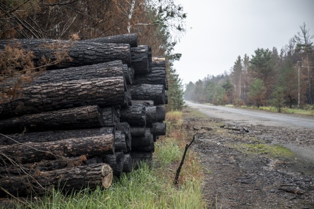Foto - Çernobil'den korkutan yangın haberi