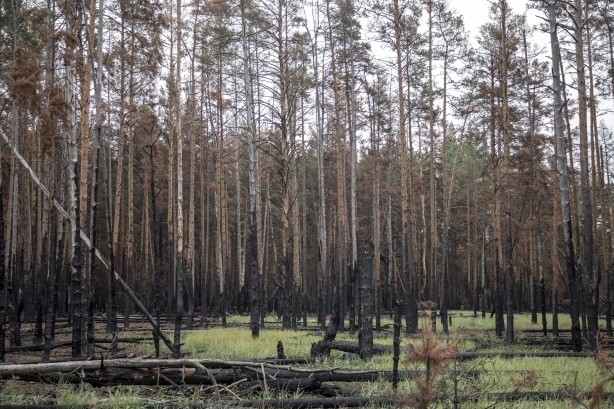 Foto - Çernobil'den korkutan yangın haberi