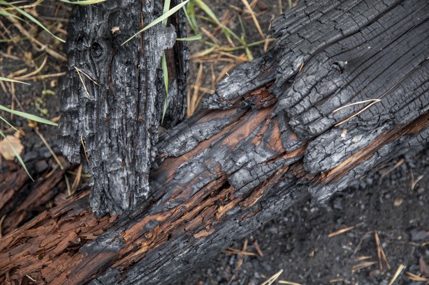 Foto - Çernobil'den korkutan yangın haberi