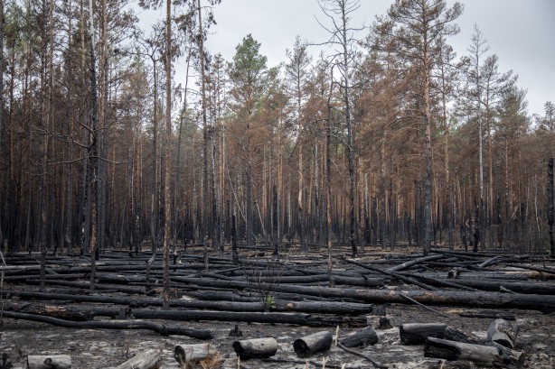 Çernobil'den korkutan yangın haberi
