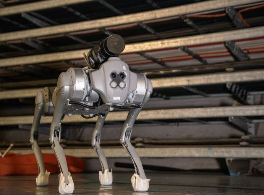Foto - CERNquadbot radyasyon kokluyor! Bu robot köpek diğerlerine benzemiyor