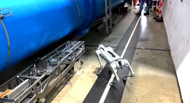 Foto - CERNquadbot radyasyon kokluyor! Bu robot köpek diğerlerine benzemiyor