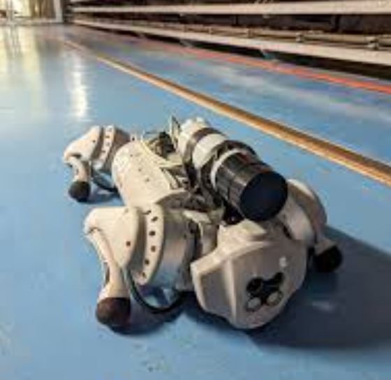 Foto - CERNquadbot radyasyon kokluyor! Bu robot köpek diğerlerine benzemiyor