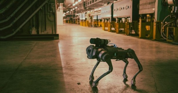 Foto - CERNquadbot radyasyon kokluyor! Bu robot köpek diğerlerine benzemiyor