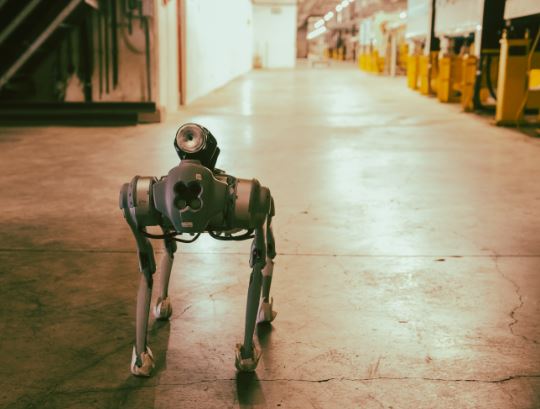 Foto - CERNquadbot radyasyon kokluyor! Bu robot köpek diğerlerine benzemiyor