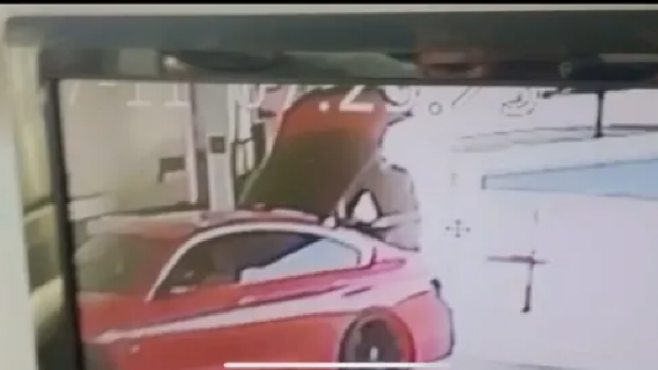 Foto - Cesedi bavula konulmuştu! Ayşe Tokyaz cineyetinde yeni gelişme