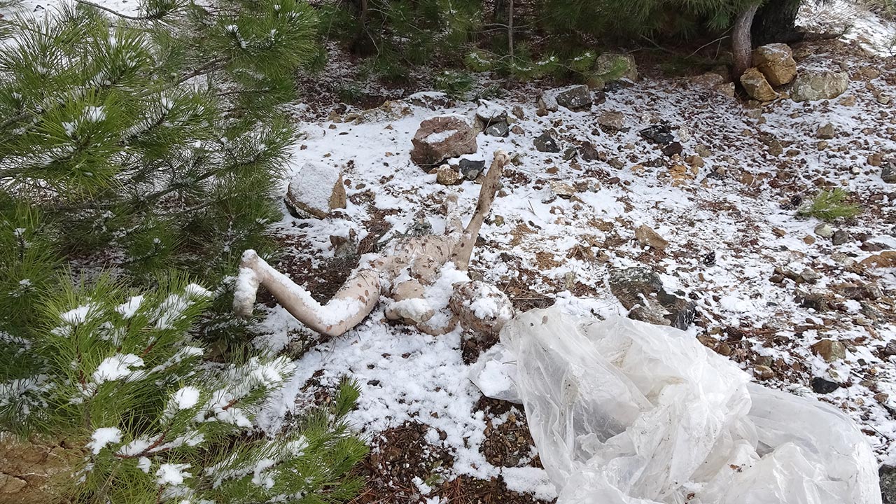 Foto - Ceset ihbarı paniğe neden oldu! Ekipler farklı bir manzarayla karşılaştı