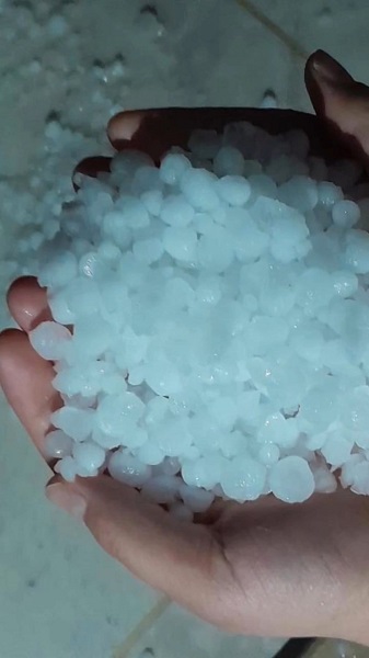 Foto - Çeşme, nisan ayında beyaza büründü