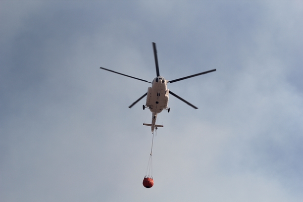 Foto - Çeşme'de çıkan yangının sebebi belli oldu