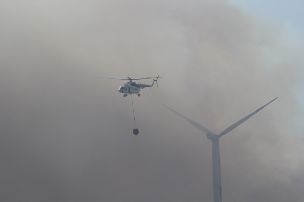 Foto - Çeşme'de çıkan yangının sebebi belli oldu