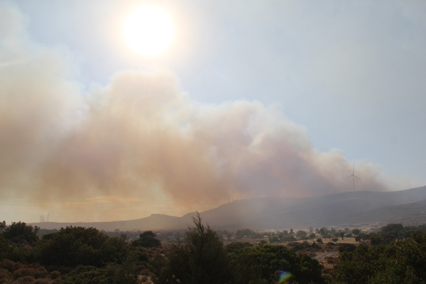 Foto - Çeşme'de çıkan yangının sebebi belli oldu