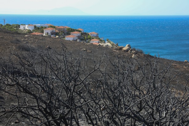 Çeşme'deki yangın kontrol altına alındı