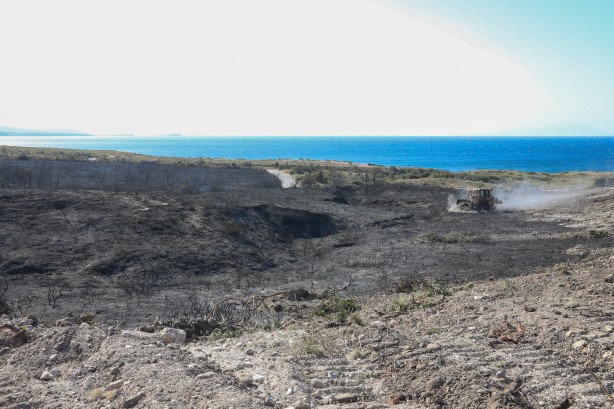 Foto - Çeşme'deki yangın kontrol altına alındı