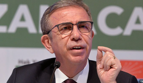 Foto - Cevap ver Mansur! Bu balıklar neden öldü?