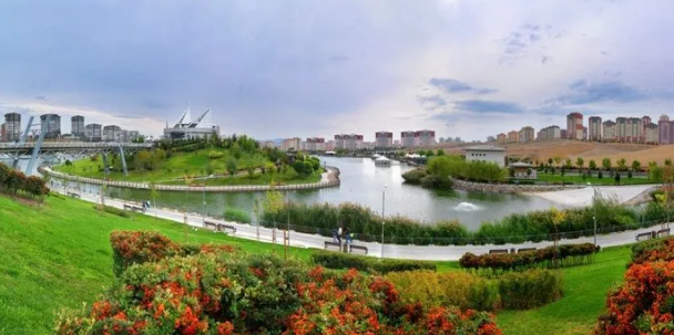 Foto - Cevap ver Mansur! Bu balıklar neden öldü?