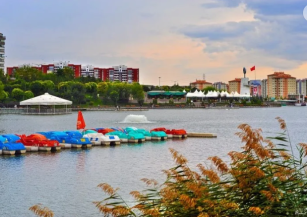 Foto - Cevap ver Mansur! Bu balıklar neden öldü?