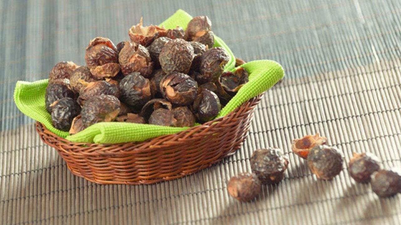 Foto - Ağaçtan toplandığı gibi çamaşır makinesine gidiyor: Sadece Trabzon, Adana’da yetişiyor! 