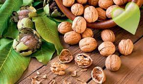 Foto - Ceviz hakkında bilmediğiniz farklı bilgiler! Hem lezzetli hem sağlıklı hem de vitamin dolu! Böylesi görülmedi, inanamadılar