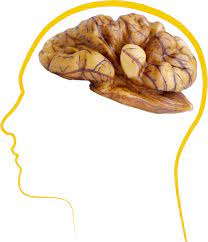 Foto - Ceviz hakkında bilmediğiniz farklı bilgiler! Hem lezzetli hem sağlıklı hem de vitamin dolu! Böylesi görülmedi, inanamadılar