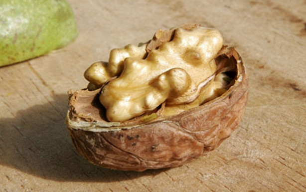 Foto - Ceviz kabuğunu çöpe atmayın!