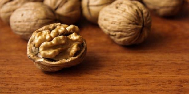 Foto - Ceviz kabuğunu çöpe atmayın!