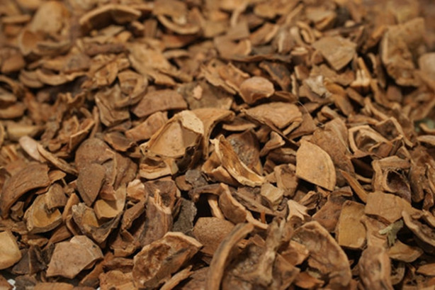 Foto - Ceviz kabuğunu çöpe atmayın!