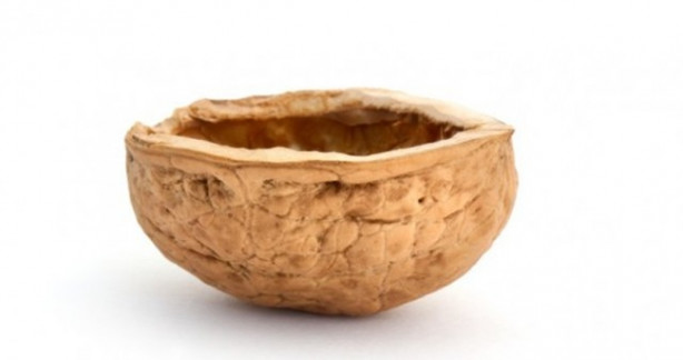 Foto - Ceviz kabuğunu çöpe atmayın!