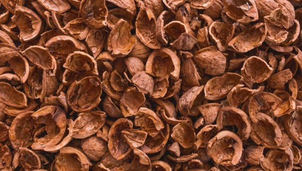 Foto - Ceviz kabuğunu sakın atmayın! İnanılmaz bir etkisi var... Hiçbir uzmanın bahsetmediği harika bilgi...