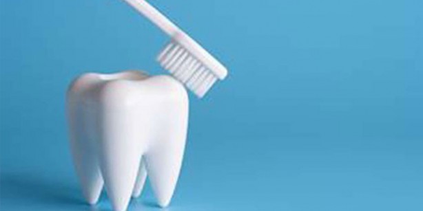 Foto - Ceviz kabuğunu sakın atmayın! İnanılmaz bir etkisi var... Hiçbir uzmanın bahsetmediği harika bilgi...