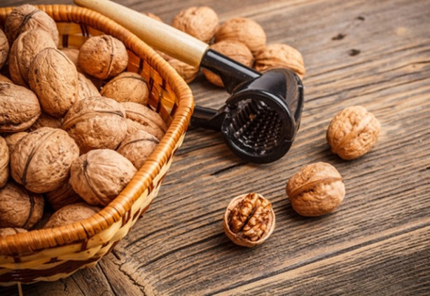 Foto - Ceviz kabuğunun faydaları saymakla bitmiyor