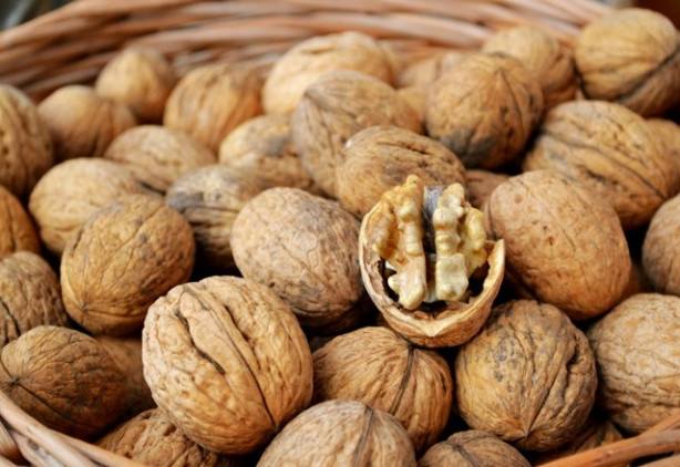 Foto - Ceviz kabuğunun faydaları saymakla bitmiyor