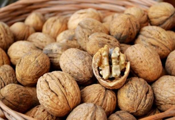 Foto - Ceviz kabuğunun inanılmaz faydaları