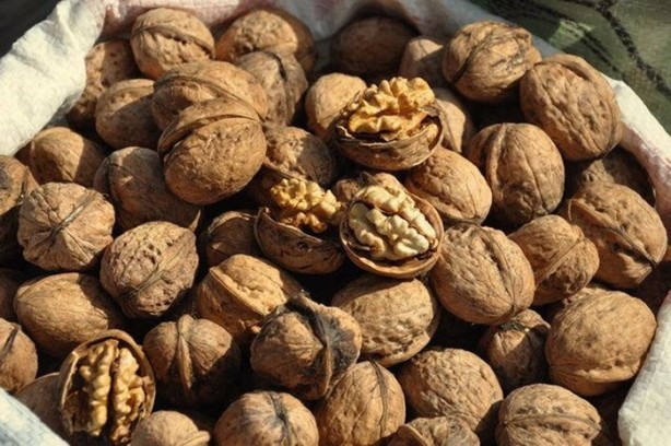 Foto - Ceviz kalp krizi riskini azaltıyor!