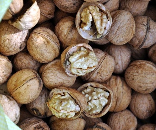 Ceviz kalp krizi riskini azaltıyor!