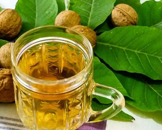 Foto - Ceviz suyu! Herkes duysun: Tam bir şifa deposu böyle daha güzel! Duyunca yok artık diyeceksiniz