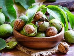 Foto - Ceviz suyu! Hiç duymadığınız ilaç gibi etkisi var! Ceviz suyu nasıl yapılır, ne işe yarar? Faydaları saymakla bitmez